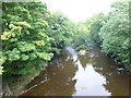 Island in the River Esk near Grosmont in YO22 5QJ