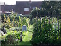 Station Road Allotments in DE74 2FX
