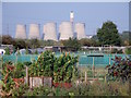 Long Lane Allotments in DE74 2FX