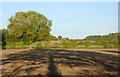 Evening shadows over farmland east of Wheaton Aston, Staffordshire in ST19 9QH