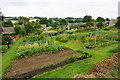 Allotments at Guiting Power in Guiting Power