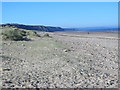 Dunes and beach east of Crimdon House Farm in TS24 9RG