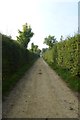 Footpath near Wellhill farm in LS23 6LL