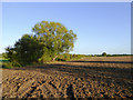 Ploughed field west of Lapley, Staffordshire in ST19 9QH