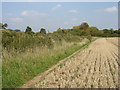 The Ridgeway Path nearing North Stoke in OX10 6BU