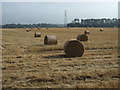Stubble field with bales near Redhouse in DG12 5LN
