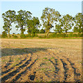 Stubble field west of Lapley, Staffordshire in ST19 9QH