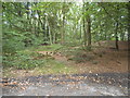 Winterfold Heath by Greensand Lane in GU6 7NL