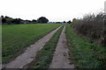 Path towards Southill in SG18 9NR