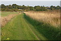 Bridleway to Biggleswade in SG18 8AZ