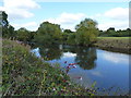 River Severn east of Shrewsbury in SY2 5PW