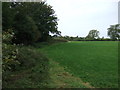 Grazing and hedgerow, Hest Bank in LA2 6JD