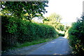 Country lane near Howley in TA20 3DY