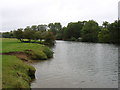 The River Thames near Burcot in Burcot