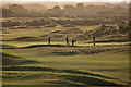 Evening golf at Moray golf course in IV31 6RD