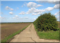 A farm track with a view to The Fens in CB3 8NN
