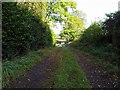 Bridleway east of Houghton in NE15 0DB
