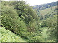 Steep and wooded side of the river in NP4 9HY