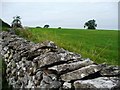 Carefully-laid drystone wall, above Askham in CA10 2PG