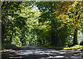 Country road, Crays Pond, Oxfordshire in RG8 7QQ