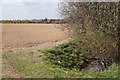 Drainage ditch - New Cote Farm in BN12 5JZ