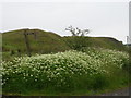 The start of the bridleway with old spoil heaps beyond in NP23 4QS
