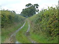 Track near Oaklands Farm, Litcham, Norfolk in PE32 2QT
