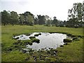Half Moon Common, pond in SO43 7JJ