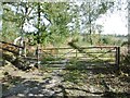 Half Moon Common, gate & stile in SO43 7JJ