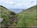 Valley south of Mullion Cliff in TR12 7ET