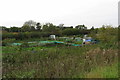 Allotments by Charbridge Lane in OX26 5EA