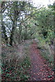Footpath towards Field Farm in OX26 5EA