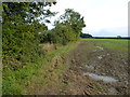Farmland west of Stanfield, Norfolk in NR20 4JW