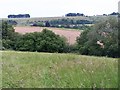 Fields and woodland near East Dean in SP5 1GZ