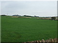 Farmland off the A6 near Monks House in CA11 9FU