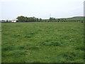 Grazing towards Mounseybank in CA11 9NP