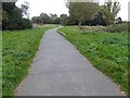 Bench overlooking the River Freshney on the cycle track to Little Coates in DN34 5QJ