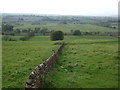 Stone wall and fields off the A6 in CA11 9JW