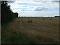 Stubble field and hedgerow in MK44 3PD