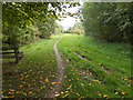 Footpath - Marchup Ghyll Nature Reserve - off Silsden Road in LS29 0PS