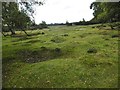 Canada Common, uneven ground in SO51 6DH