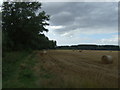 Stubble field and hedgerow in SG19 2AT
