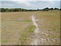 West Wellow Common, track in SO51 6DD