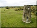 West Wellow Common, trig point in SO51 6DD