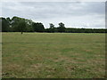 Grassland near Little Barford in Little Barford