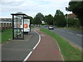 Bus stop and shelter on Cromwell Road in PE19 2AN