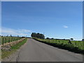 Road looking southeast in AB55 6LW
