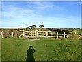 Footpath and track to Angrouse Farm, Mullion in TR12 7HU