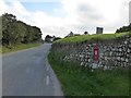 The north wall of the churchyard, St Corentine, Cury in TR12 7QX