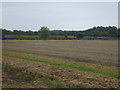 Stubble field off White Droveway in CB5 0RB